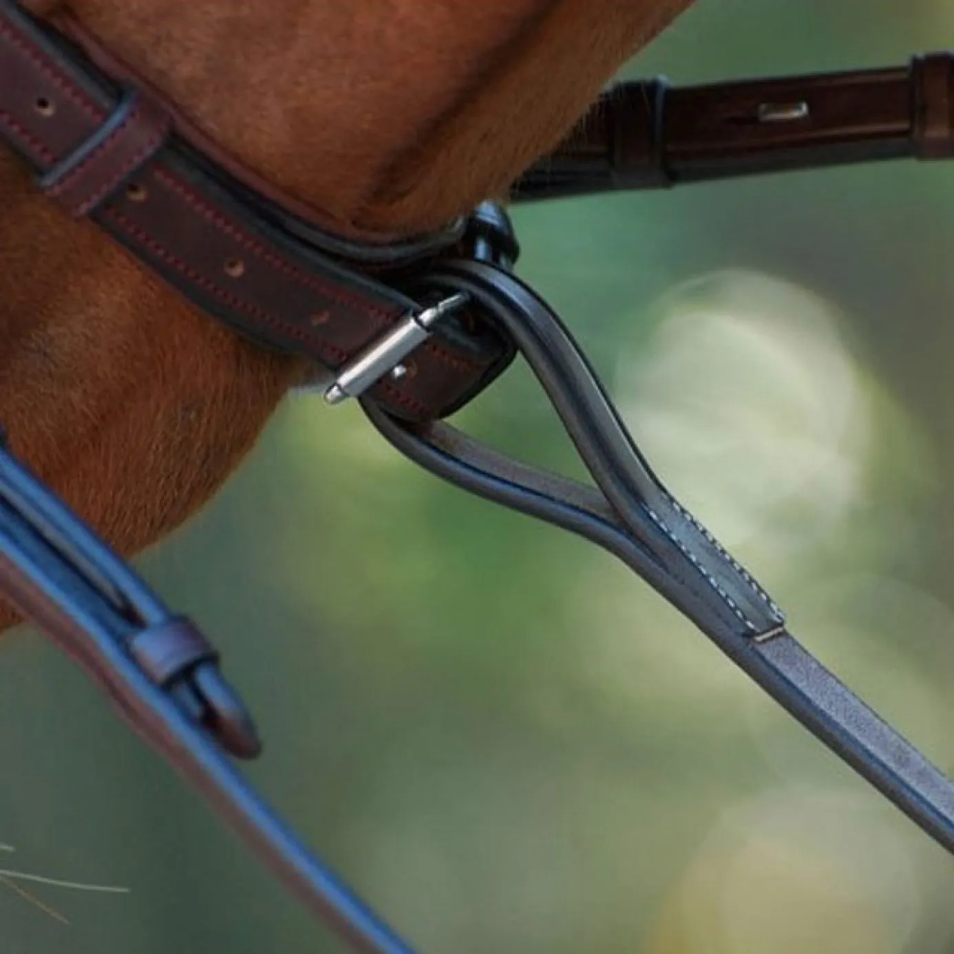 Dy'on New English Standing Martingale Attachment