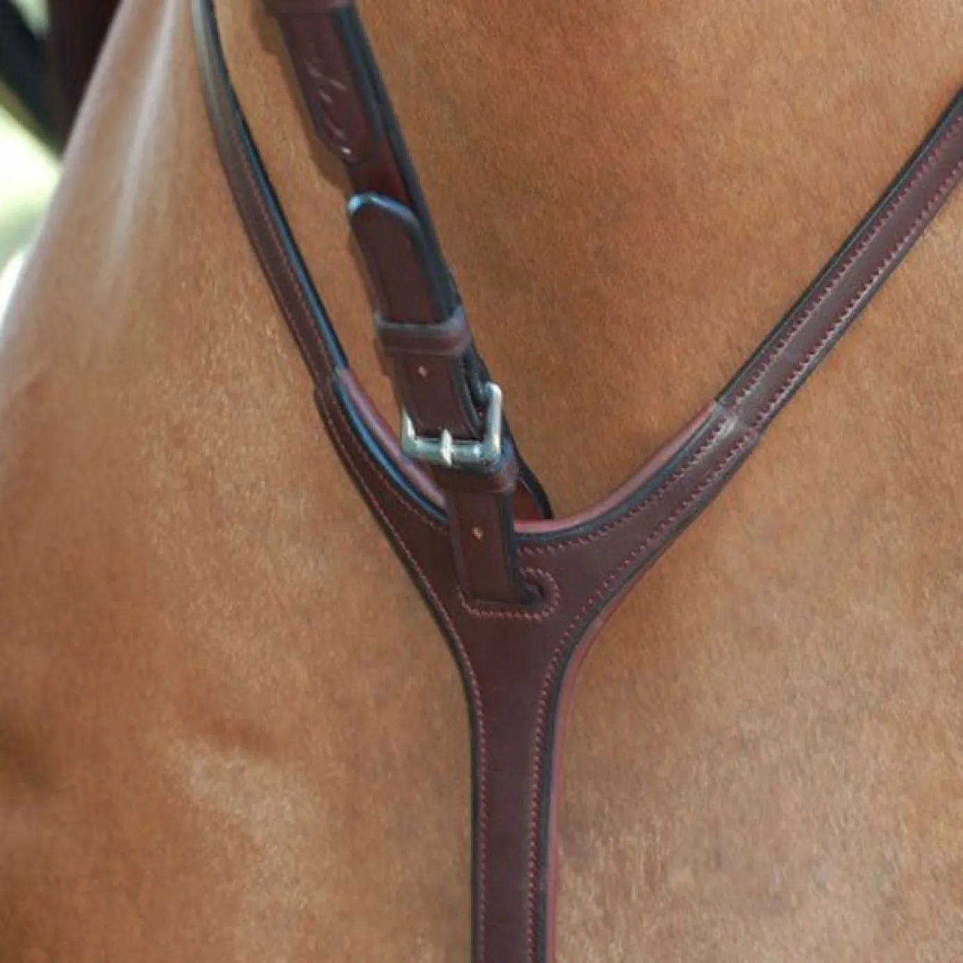 Dy'on New English Standing Martingale Attachment