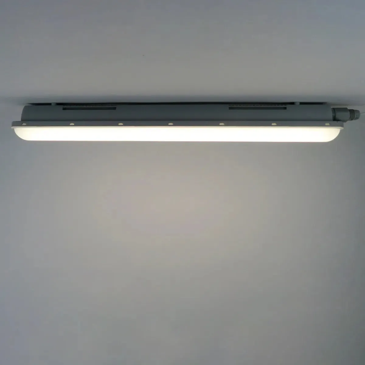 LED Tri-proof IP65 waterbestendig 60cm 24W